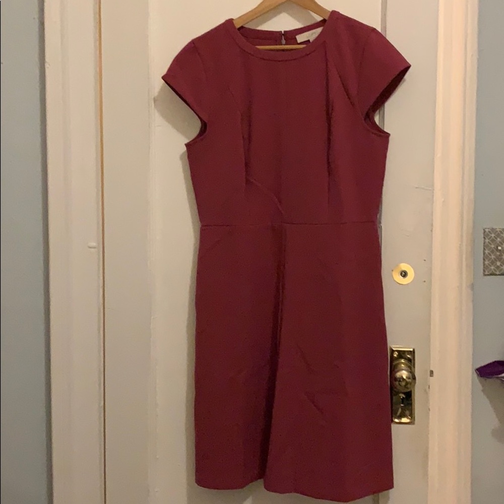 Mauve A-line LOFT dress with stretch NWT size 16